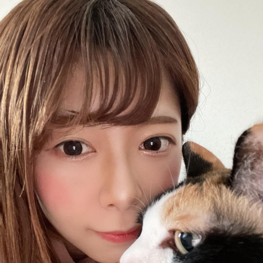 藤本ゆうき Cheerz 藤本ゆうき Cheerz